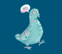 Sophisticated Pigeon